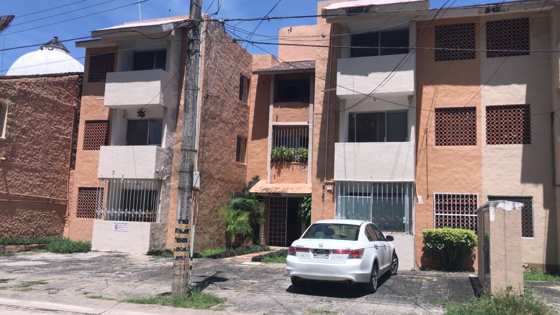 Pavo Real 119